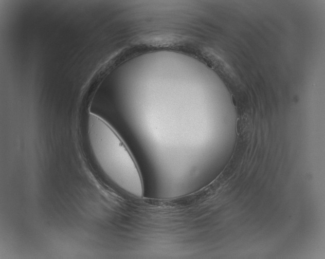 X0000073950400200608210948