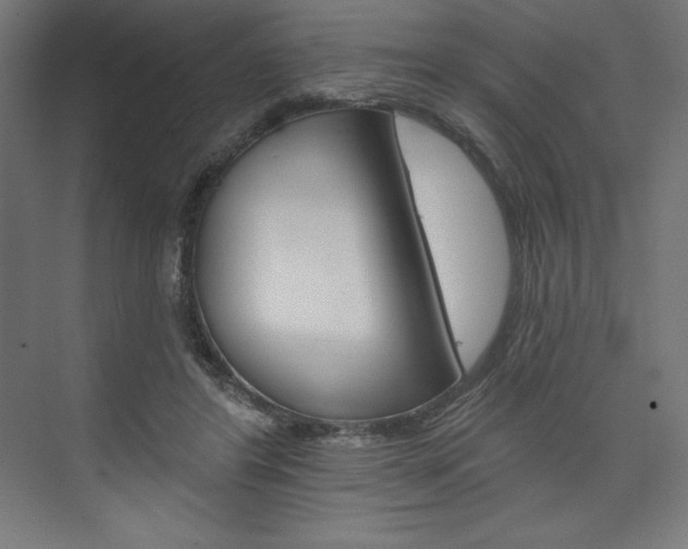 X0000073950404200608210947