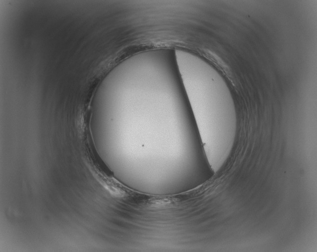 X0000073950405200608210947