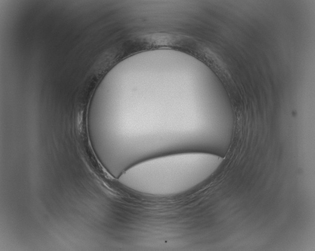 X0000073950406200608210947