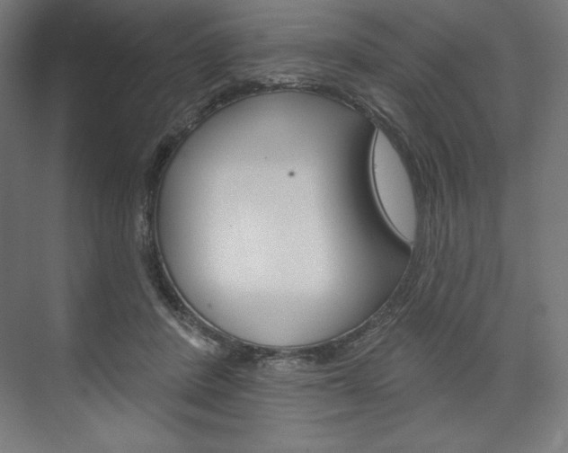 X0000073950408200608210947