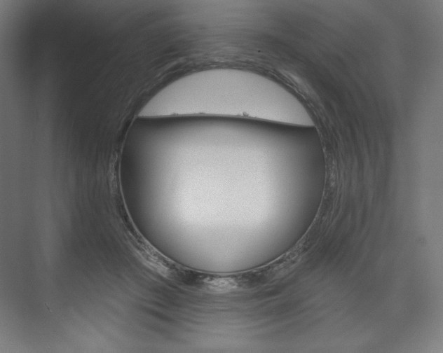 X0000073950409200608210947