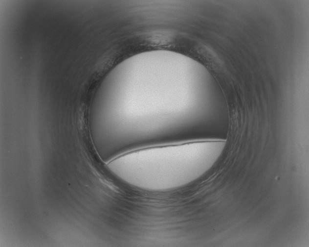 X0000073950412200608210947