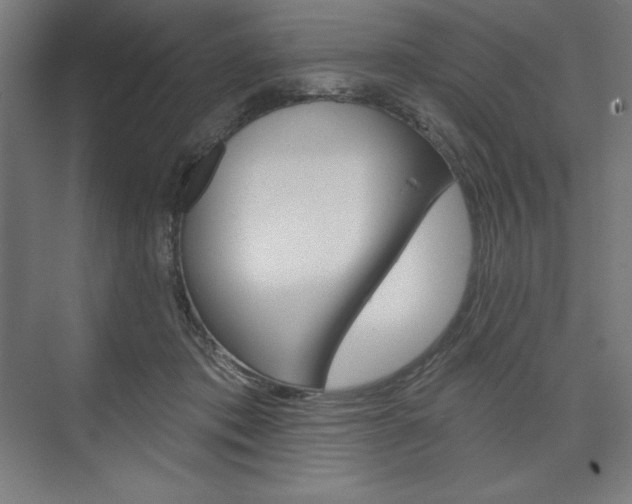 X0000073950413200608210947