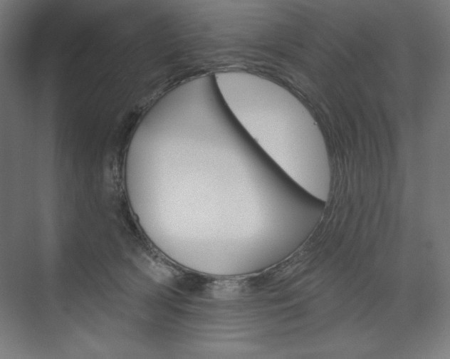 X0000073950418200608210947
