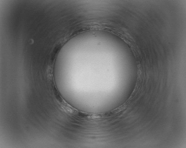 X0000073950419200608210947
