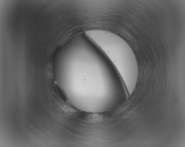 X0000073950421200608210947