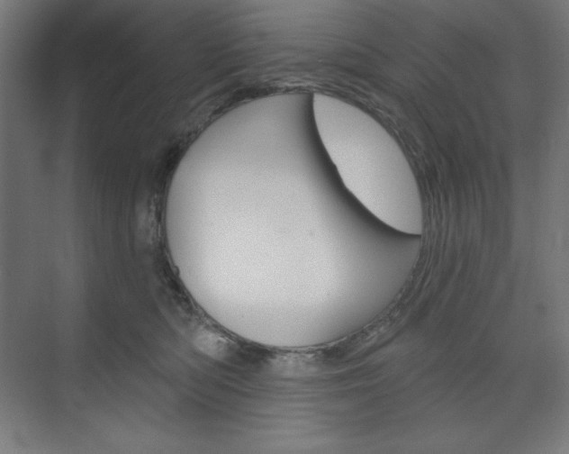 X0000073950422200608210947