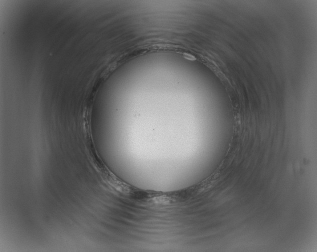 X0000073950423200608210947