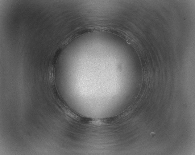 X0000073950425200608210947
