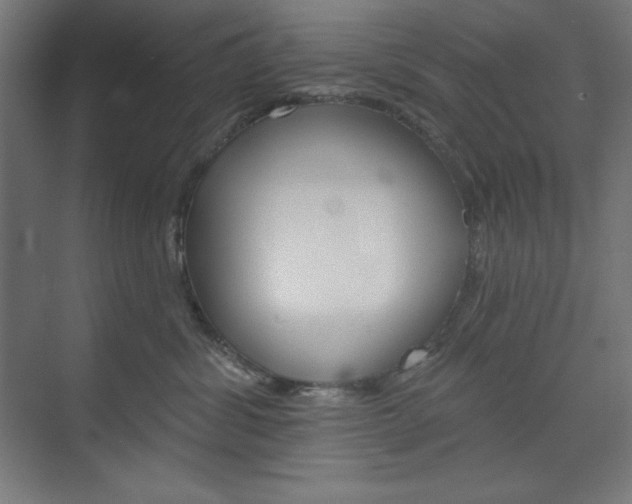 X0000073950428200608210947