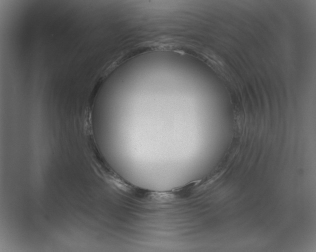 X0000073950429200608210947