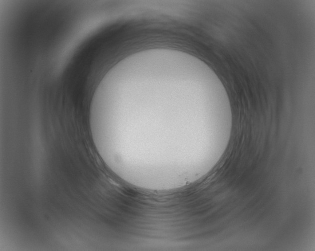 X0000073950431200608210947