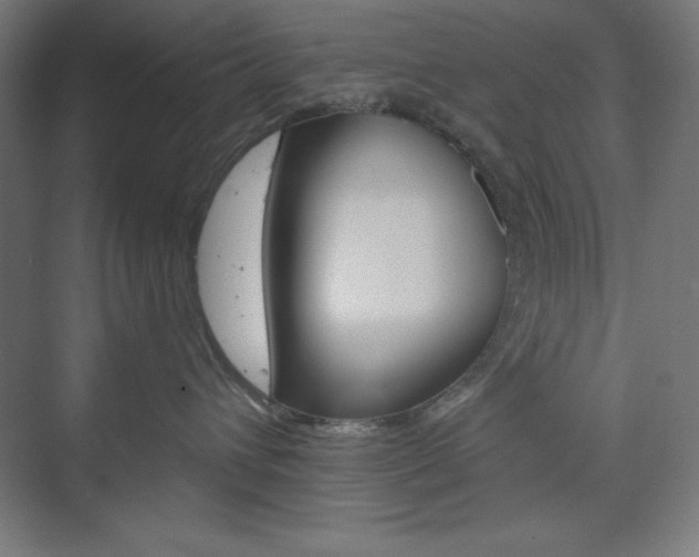 X0000073950432200608210947