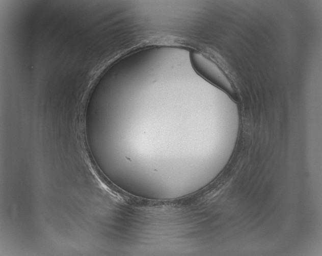X0000073950433200608210946