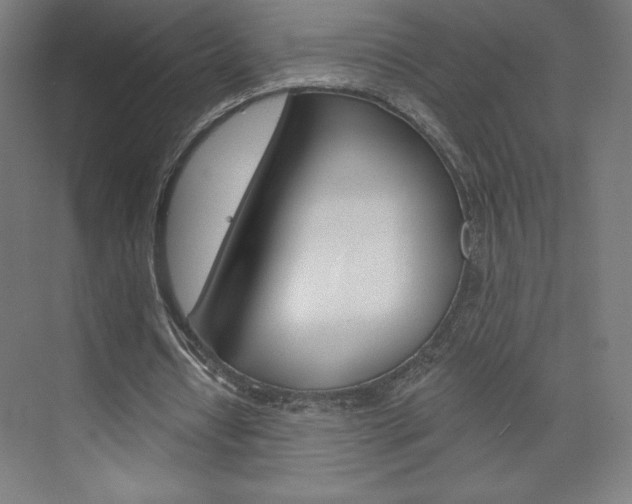 X0000073950434200608210946