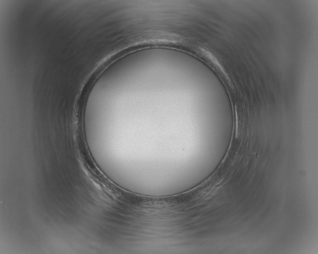 X0000073950435200608210946