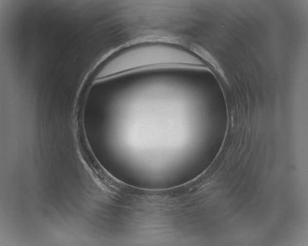 X0000073950436200608210946