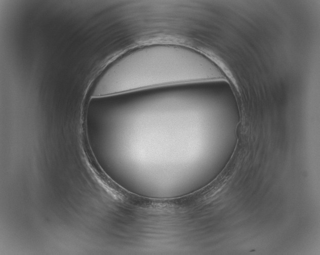 X0000073950437200608210946
