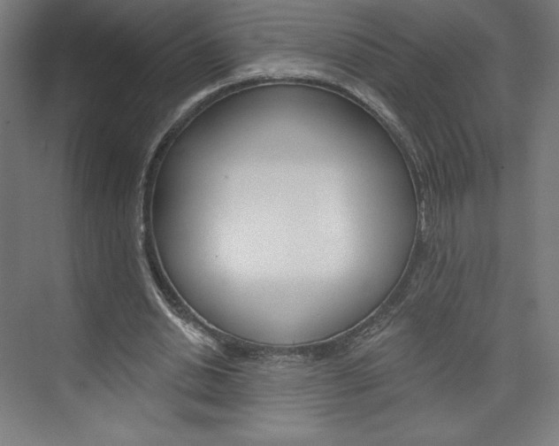 X0000073950438200608210946