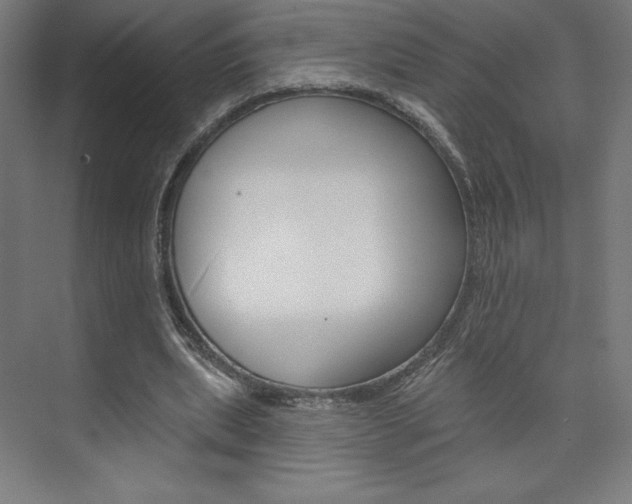 X0000073950439200608210946