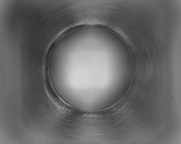 X0000073950440200608210946