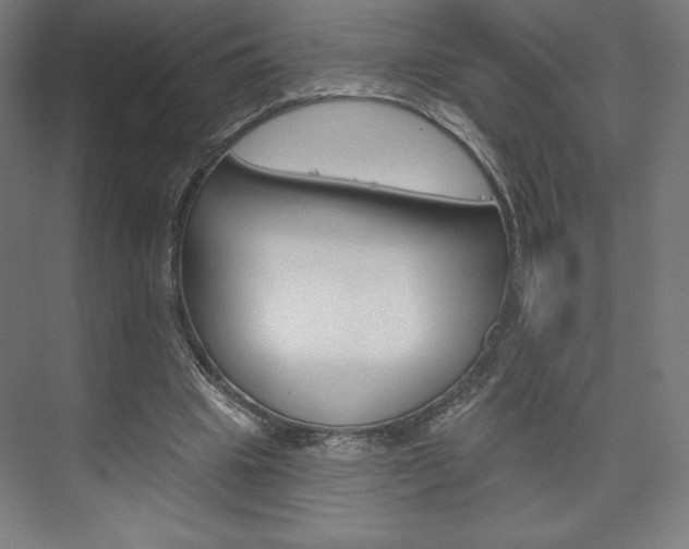 X0000073950441200608210946