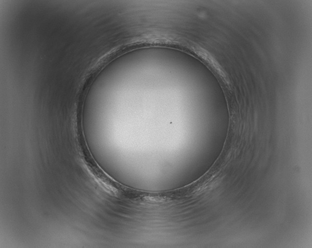 X0000073950442200608210946