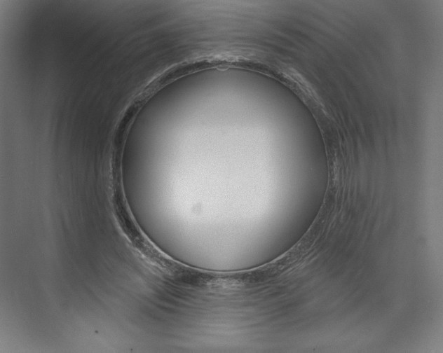 X0000073950444200608210946