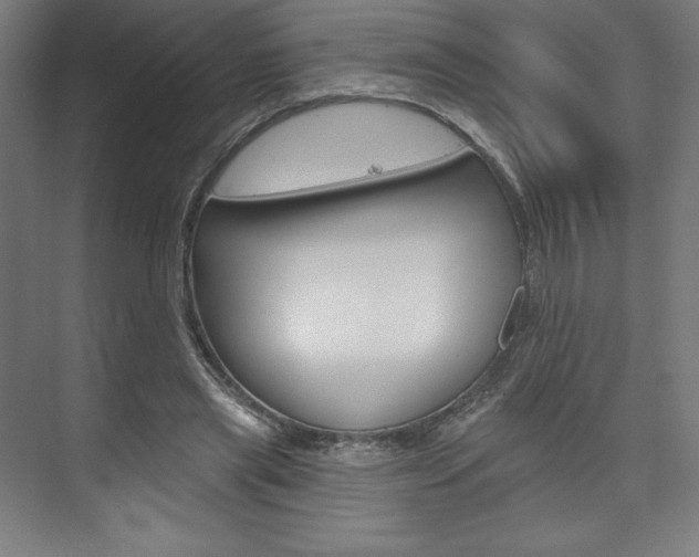 X0000073950445200608210946