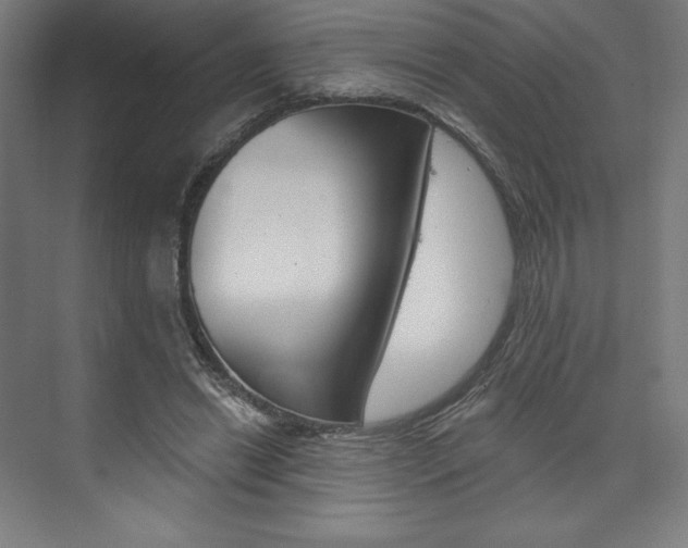 X0000073950446200608210946
