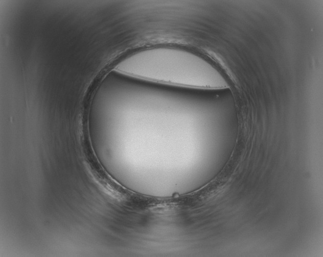 X0000073950447200608210946