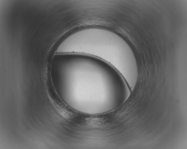 X0000073950448200608210946