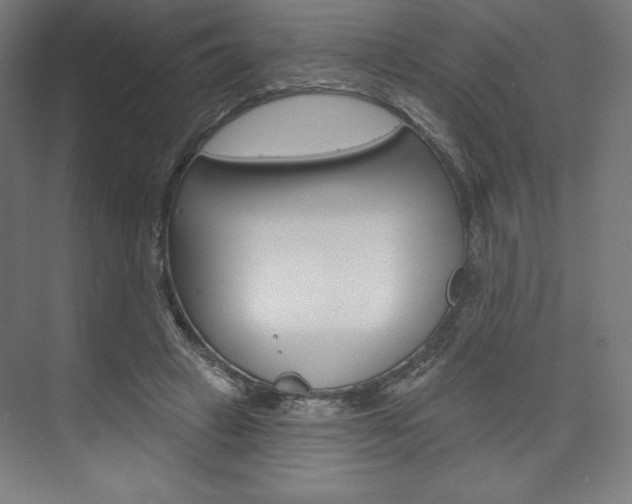 X0000073950449200608210946