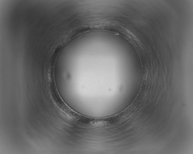 X0000073950452200608210947