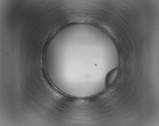 X0000073950453200608210947