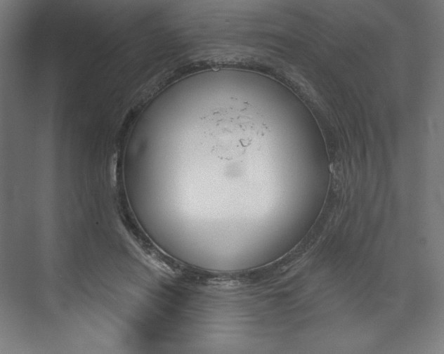 X0000073950454200608210947