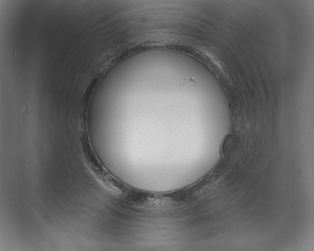 X0000073950455200608210947