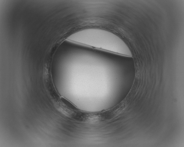X0000073950456200608210947