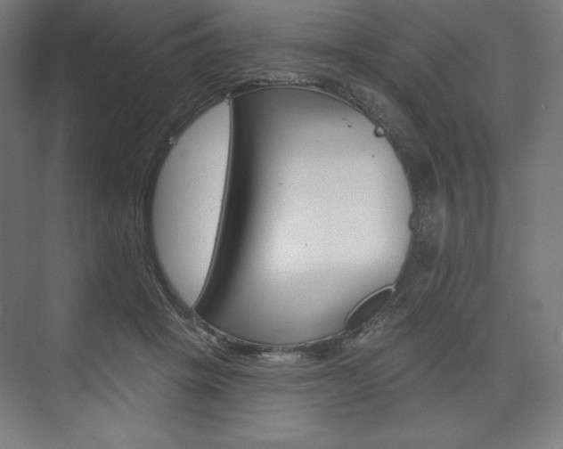 X0000073950457200608210947