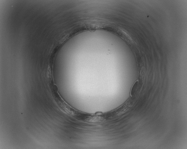 X0000073950459200608210947