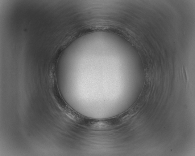 X0000073950460200608210947