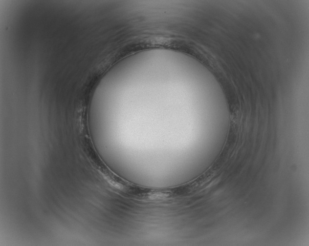 X0000073950462200608210947