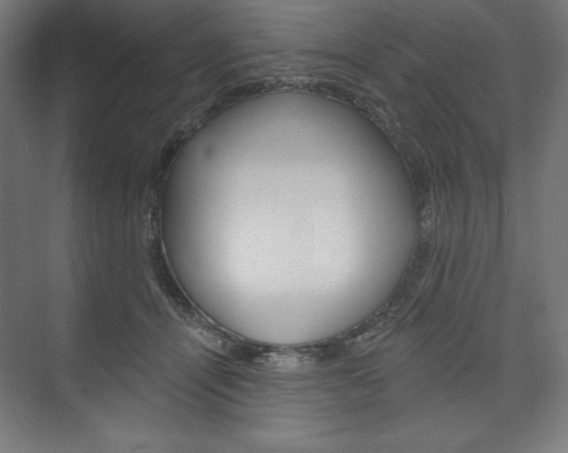 X0000073950464200608210947