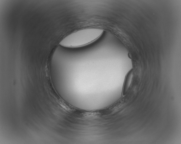 X0000073950465200608210947