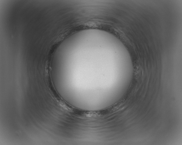 X0000073950466200608210947