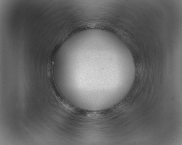 X0000073950470200608210947