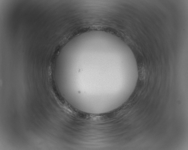 X0000073950472200608210947