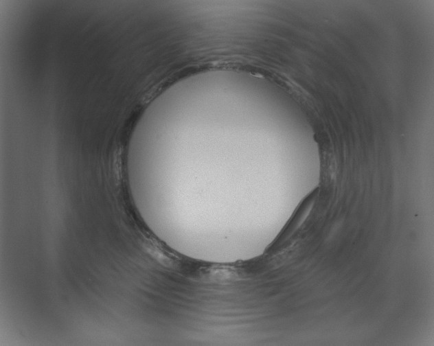 X0000073950475200608210947