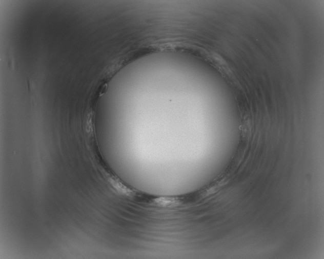 X0000073950477200608210947